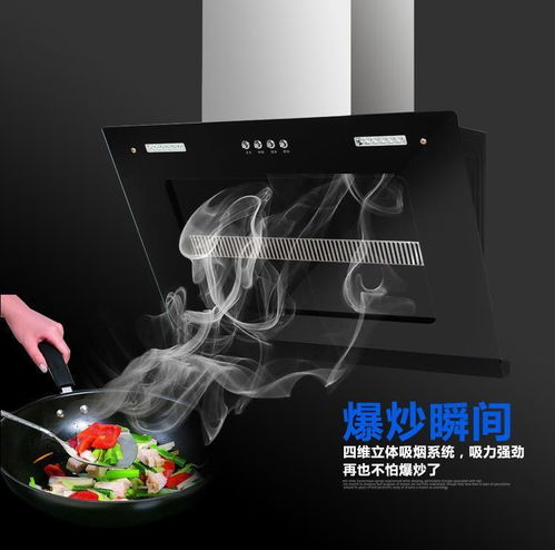 广州樱花时代二号侧吸式抽油烟机会销水机赠品图片,广州樱花时代二号侧吸式抽油烟机会销水机赠品高清图片 深圳市龙华新区智首电器厂,